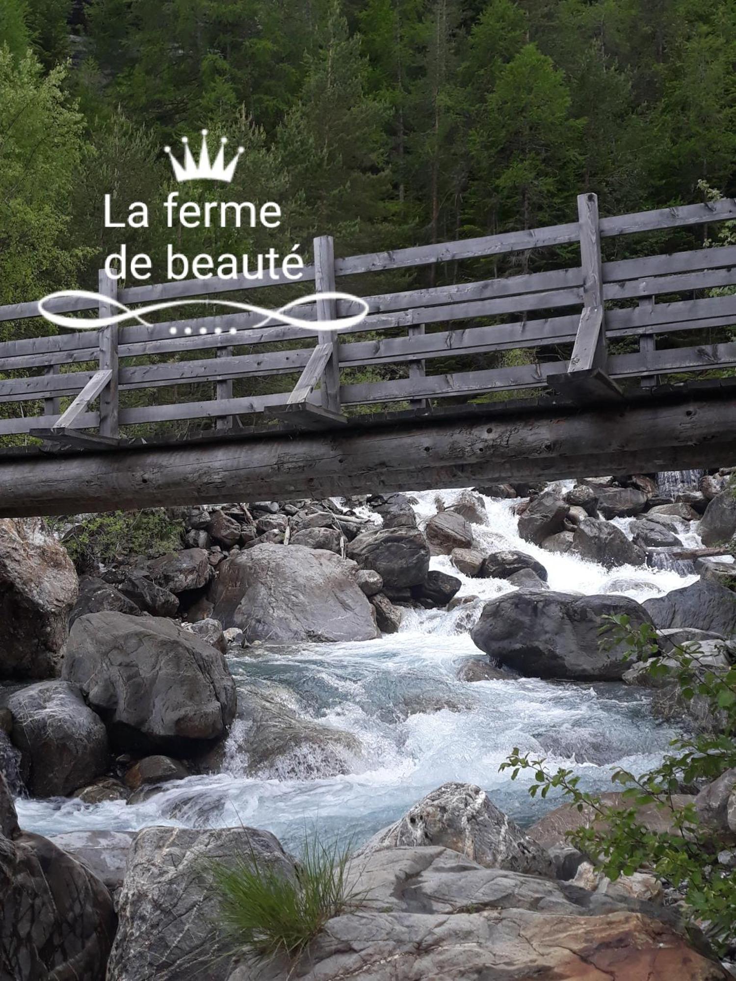 Chateauroux-les-Alpes ラ フェルム ドゥ ボーテ Bed & Breakfast エクステリア 写真